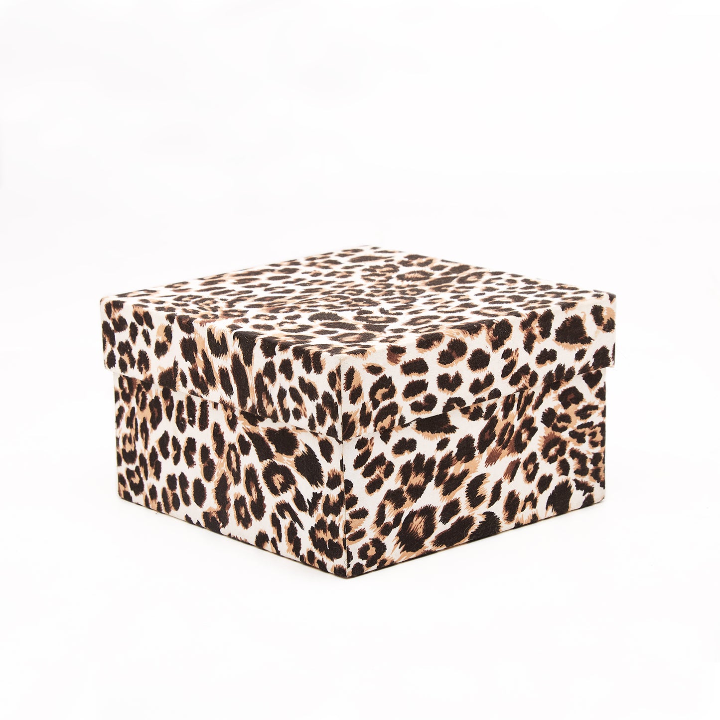 Leopard Design on a winter White - Gift Box Set of 5